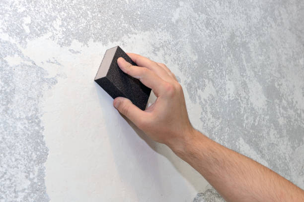 Best Mold Remediation for Healthcare Facilities  in High Rolls, NM