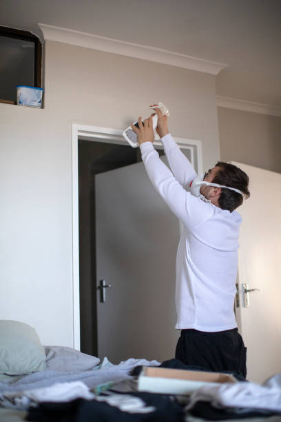 Best Basement Mold Removal  in High Rolls, NM