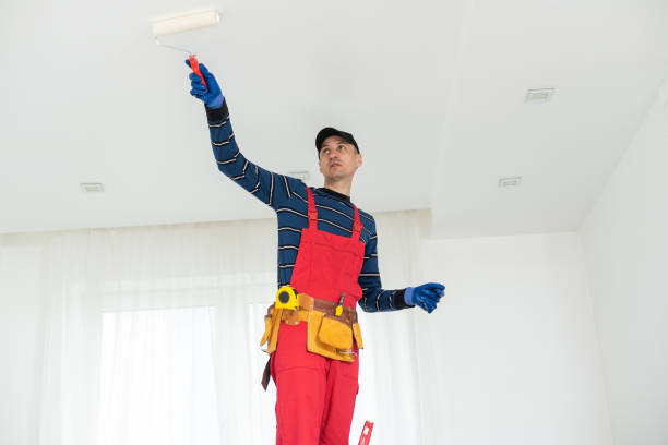Best Mold Removal for HVAC Installations  in High Rolls, NM
