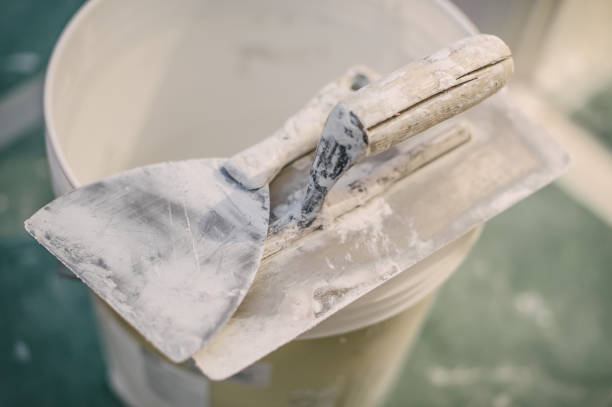 Trusted High Rolls, NM Mold Removal Experts